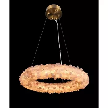 Подвесная люстра светодиодная Fluorite Eternity FL1155-5P кольцо