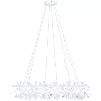 Подвесная люстра светодиодная Loft It Heracleum 9022-243W