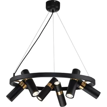 Подвесная люстра светодиодная Favourite Light point 2997-6P