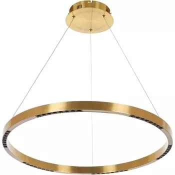 Подвесная люстра светодиодная MyFar Lucas MR1240-PL