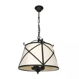 Подвесная люстра L'Arte Luce Torino L57703.88