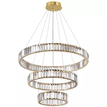 Подвесная люстра светодиодная Odeon Light Vekia 5015/88L