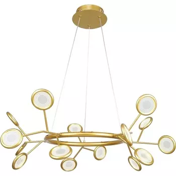 Подвесная/потолочная люстра светодиодная F-Promo Mugs 4253-15P