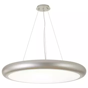 Подвесной/потолочный светильник светодиодный Favourite Smiler 2828-2PC