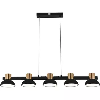 Подвесной светильник с пультом управления LED (11059/5PL Black) Indigo Traforo V000184L