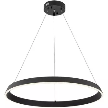 Подвесная люстра (+ночной режим) с пультом светодиодная (14019/1P Black) Indigo Orta V000090L кольцо