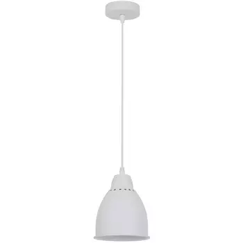 Подвесной светильник Arte Lamp BRACCIO A2054SP-1WH