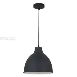 Подвесной светильник Arte Lamp BRACCIO A2055SP-1BK