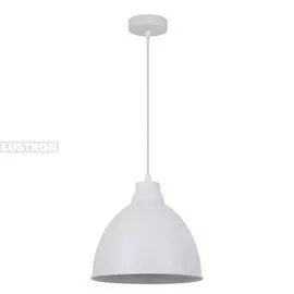 Подвесной светильник Arte Lamp BRACCIO A2055SP-1WH