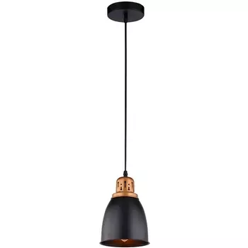 Подвесной светильник Arte Lamp Eurica A4248SP-1BK