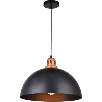 Подвесной светильник Arte Lamp Eurica A4249SP-1BK
