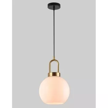 Подвесной светильник Alfa Light F2824-31 в форме шара