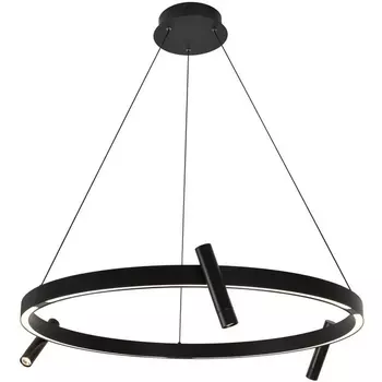 Подвесной светильник LED Alfa Light F3924-14 кольцо