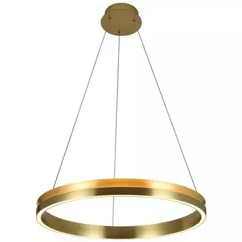 Подвесной светильник с гибким неоном Alfa Light F3924-75 кольцо