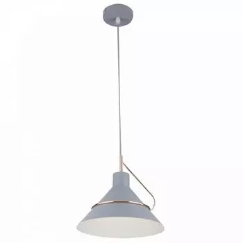 Подвесной светильник Amis FR5025PL-01GR (Freya)