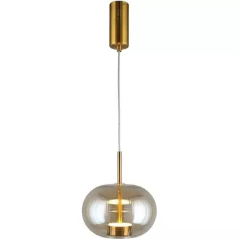 Подвесной светильник LED Aployt Ambr APL.057.06.12 в форме шара