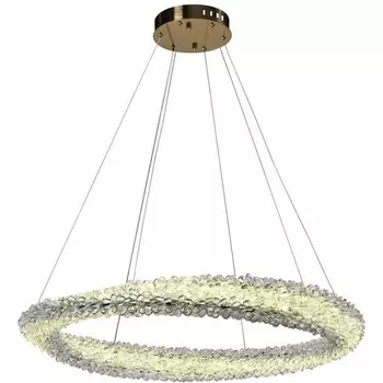 Подвесной светильник LED Aployt Marcelina APL.853.03.88 кольцо