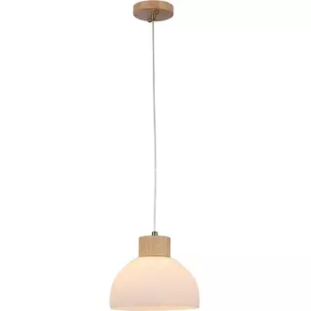 Подвесной светильник Arte Lamp A4184SP-1BR