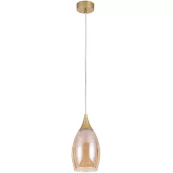 Подвесной светильник Arte Lamp Barry A7951SP-1GO