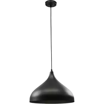 Подвесной светильник Arte Lamp Carmel A7076SP-1BK