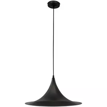 Подвесной светильник Arte Lamp Carmel A7080SP-1BK