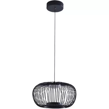 Подвесной светильник LED Arte Lamp Flare A3527SP-12BK