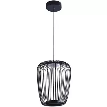 Подвесной светильник LED Arte Lamp Flare A3528SP-12BK