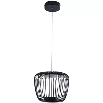 Подвесной светильник LED Arte Lamp Flare A3529SP-12BK