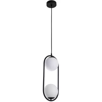 Подвесной светильник Arte Lamp Matisse A7745SP-2BK в форме шара