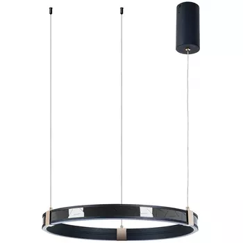 Подвесной светильник Arte Lamp Shine A2222SP-1BK