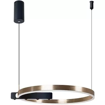 Подвесной светильник с пультом управления LED Arte Lamp Veritate A2221SP-1BR