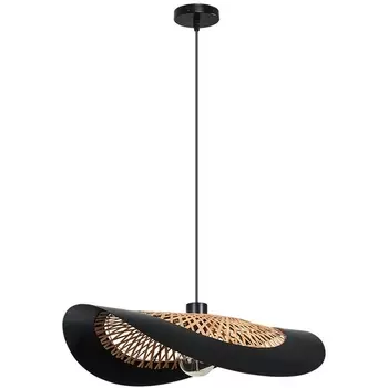 Подвесной светильник Arte Lamp Woodstock A7059SP-1BK