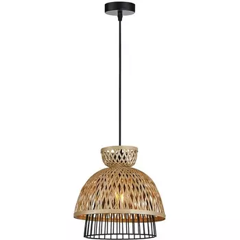 Подвесной светильник Arte Lamp Woodstock A7070SP-1BK