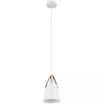 Подвесной светильник Arte Lamp Thomas A7032SP-1WH