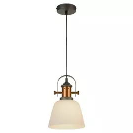 Подвесной светильник Binghamton GRLSP-9846 (Loft)