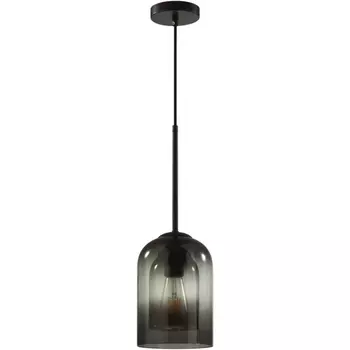 Подвесной светильник Lumion Boris 5281/1