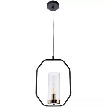 Подвесной светильник Arte Lamp Celaeno A7004SP-1BK