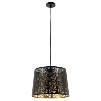 Подвесной светильник Arte Lamp CELESTA A2769SP-1BK природа