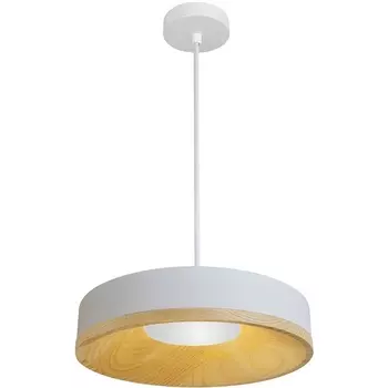 Подвесной светодиодный светильник Divinare Vaso 5119/33 SP-12