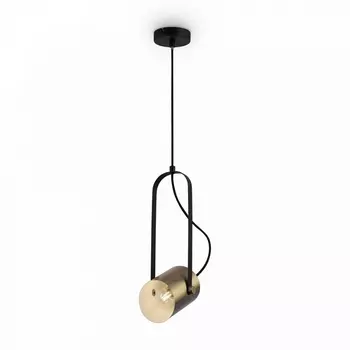 Подвесной светильник Freya Elori FR4004PL-01BBS