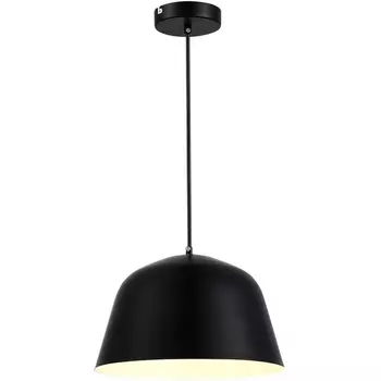 Подвесной светильник Evoluce Blank SLE1805-403-01 Черный/Черный E27 1*40W