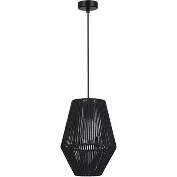 Подвесной светильник Evoluce Ettan SLE6025-413-01 черный/черный E27 1*40W