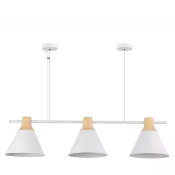 Подвесной светильник Evoluce Modica SLE125103-03