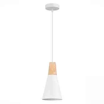 Подвесной светильник Evoluce Modica SLE125153-01