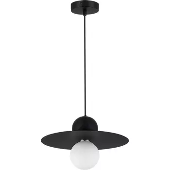 Подвесной светильник Evoluce Rizz SLE1257-443-01 Черный/Черный G9 1*5W 4000K