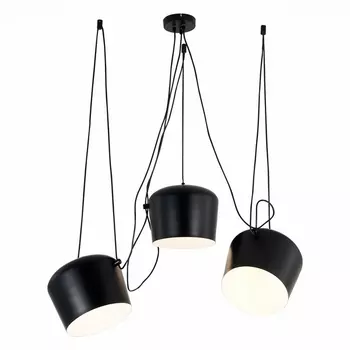 Подвесной светильник Evoluce Trieste SLE120643-03