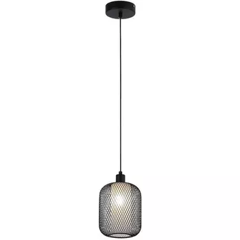 Подвесной светильник F-Promo Tokri 4602-1P