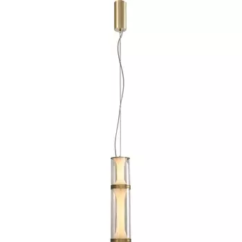 Подвесной светодиодный светильник Favourite Bones 4244-2P