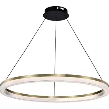 Подвесной светодиодный светильник Favourite Cirkler 4400-8P кольцо