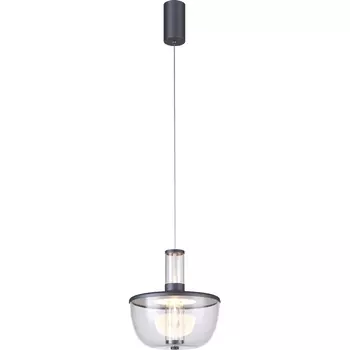 Подвесной светодиодный светильник Favourite Flaska 4312-1P